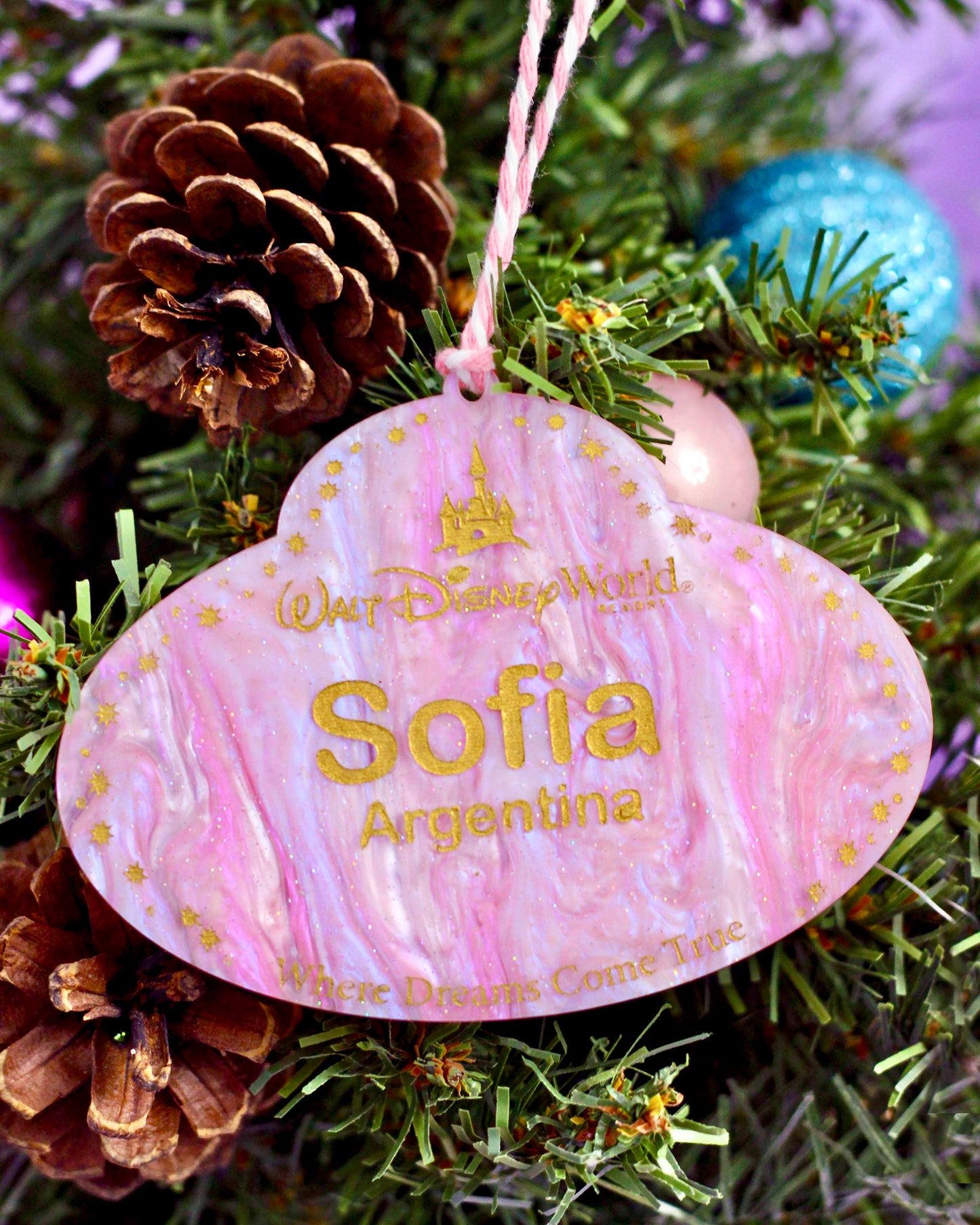 Custom Name Tag Ornament - You Pick the Style - Ornaments