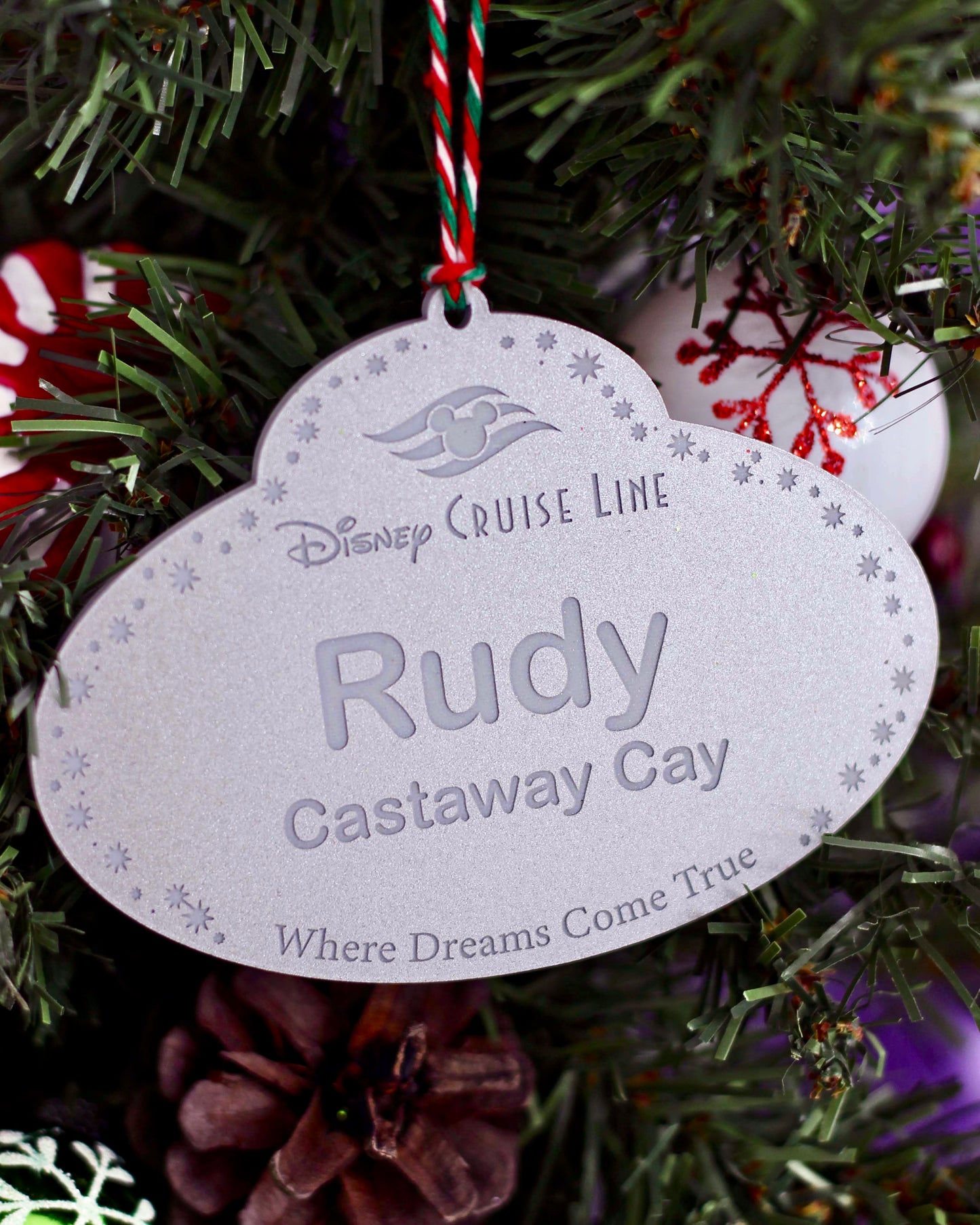 Custom Name Tag Ornament - You Pick the Style - Ornaments